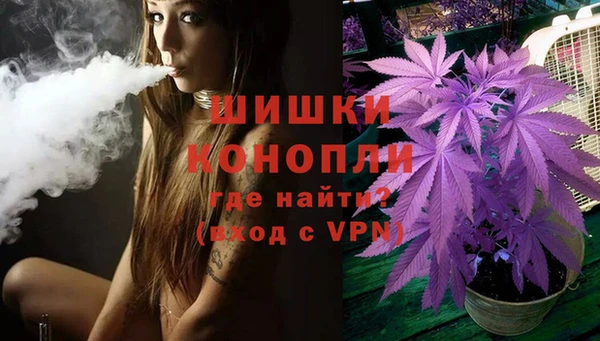 амф Бронницы